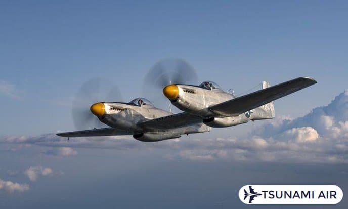 NORTH AMERICAN XP-82